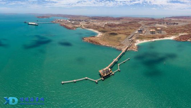 篮球勇士球队轮换阵容优化